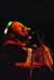 Raffello Simeoni